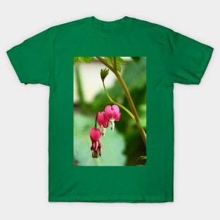 Bleeding Hearts T-Shirt